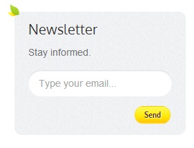 How to link the newsletter signup to my website?