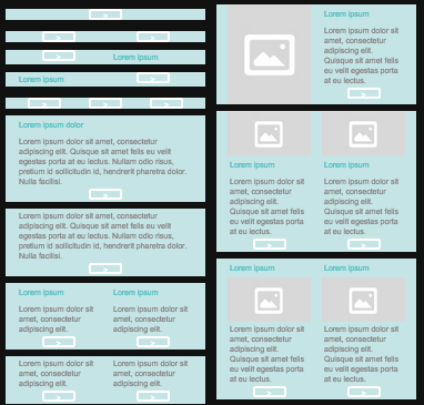 fmd guide10